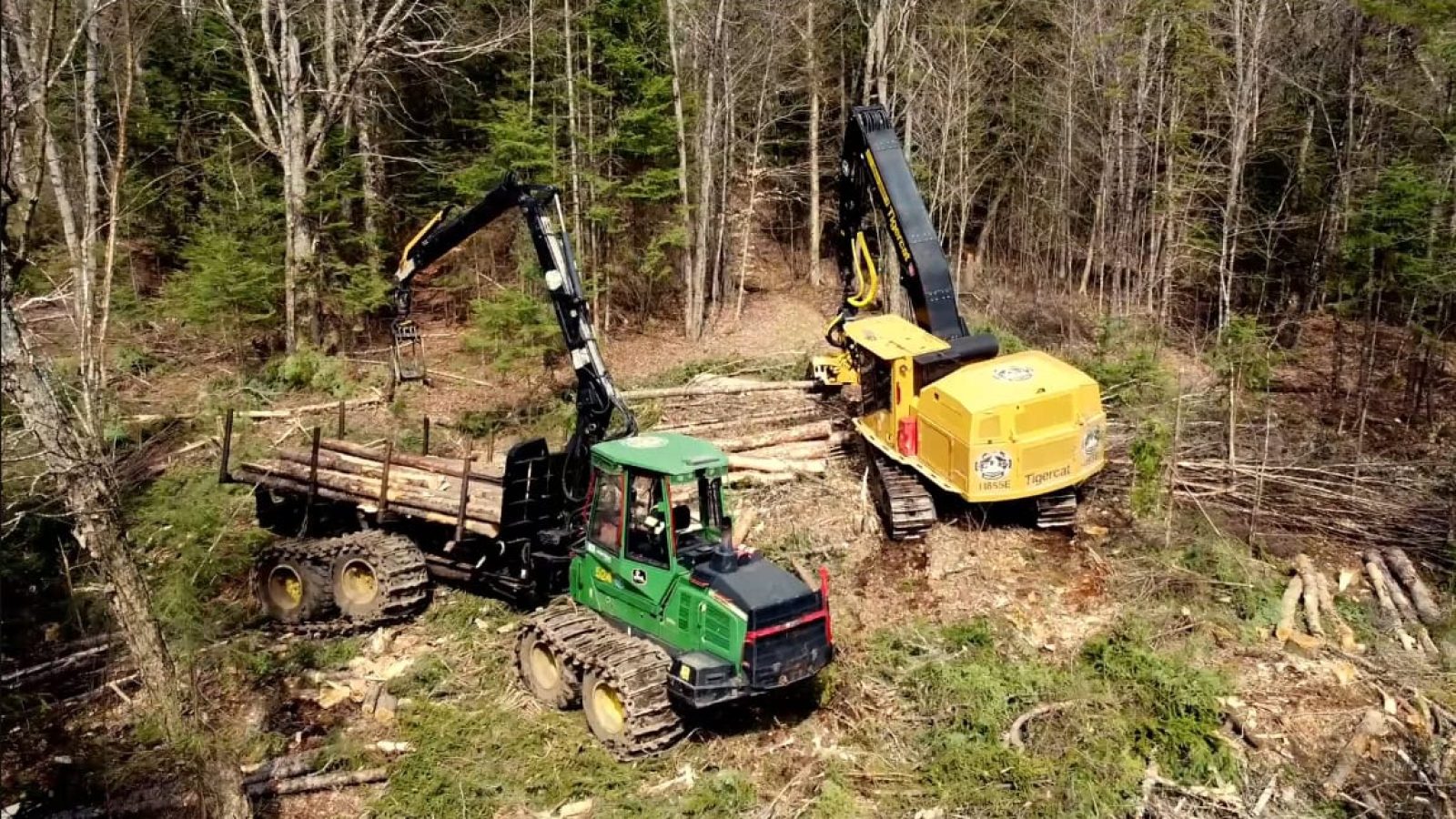 Capture d’écran_21-8-2025_132742_app.frame.io