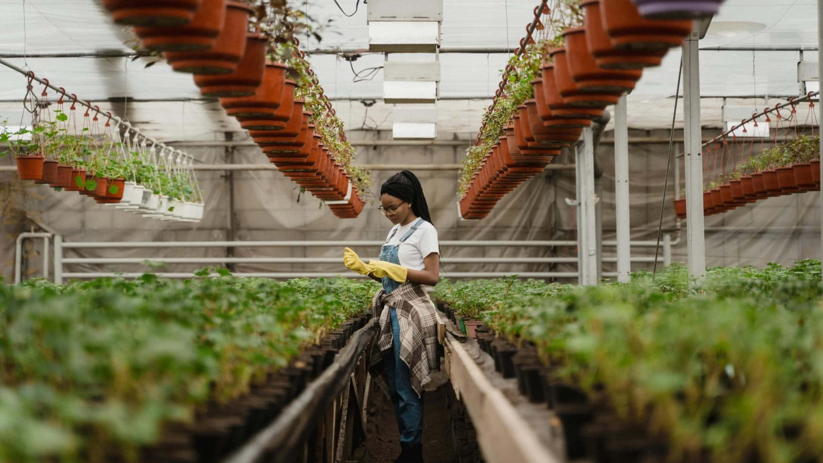 horticulture